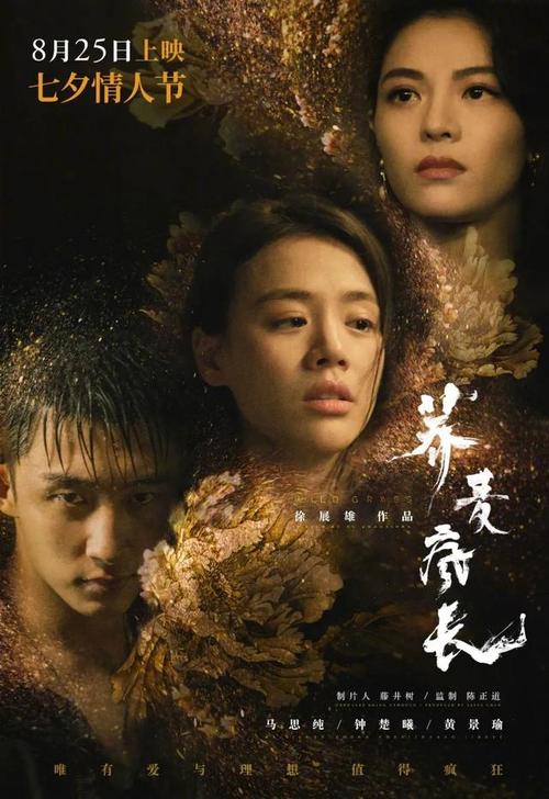 买个假的渤海银行支票